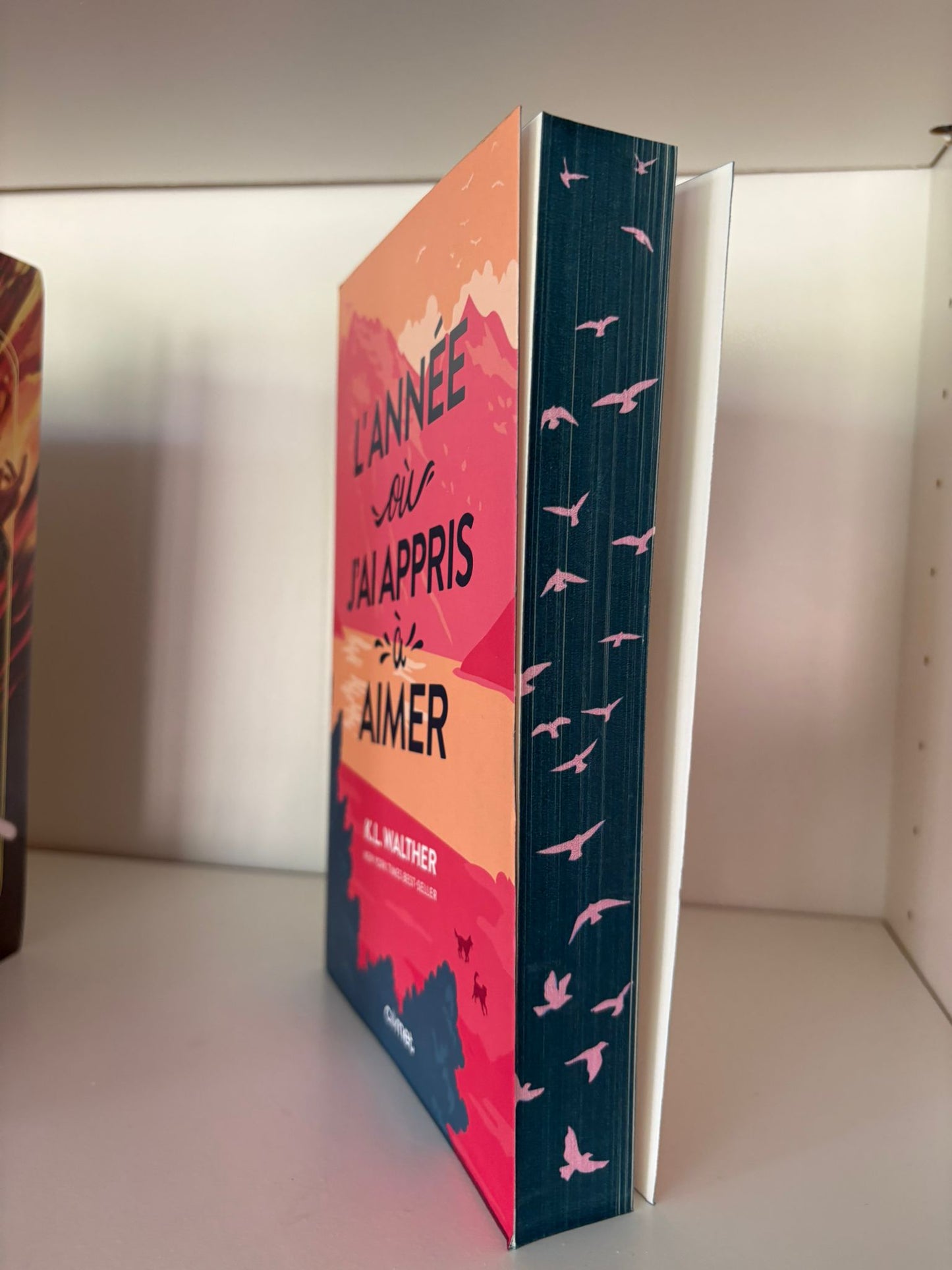 L'année où j'ai appris à aimer - K. L. Walther (Broché)