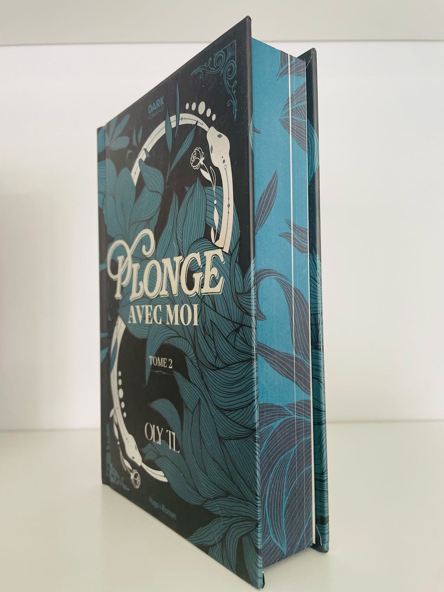 Box format relié (Korrigan à Roncière)