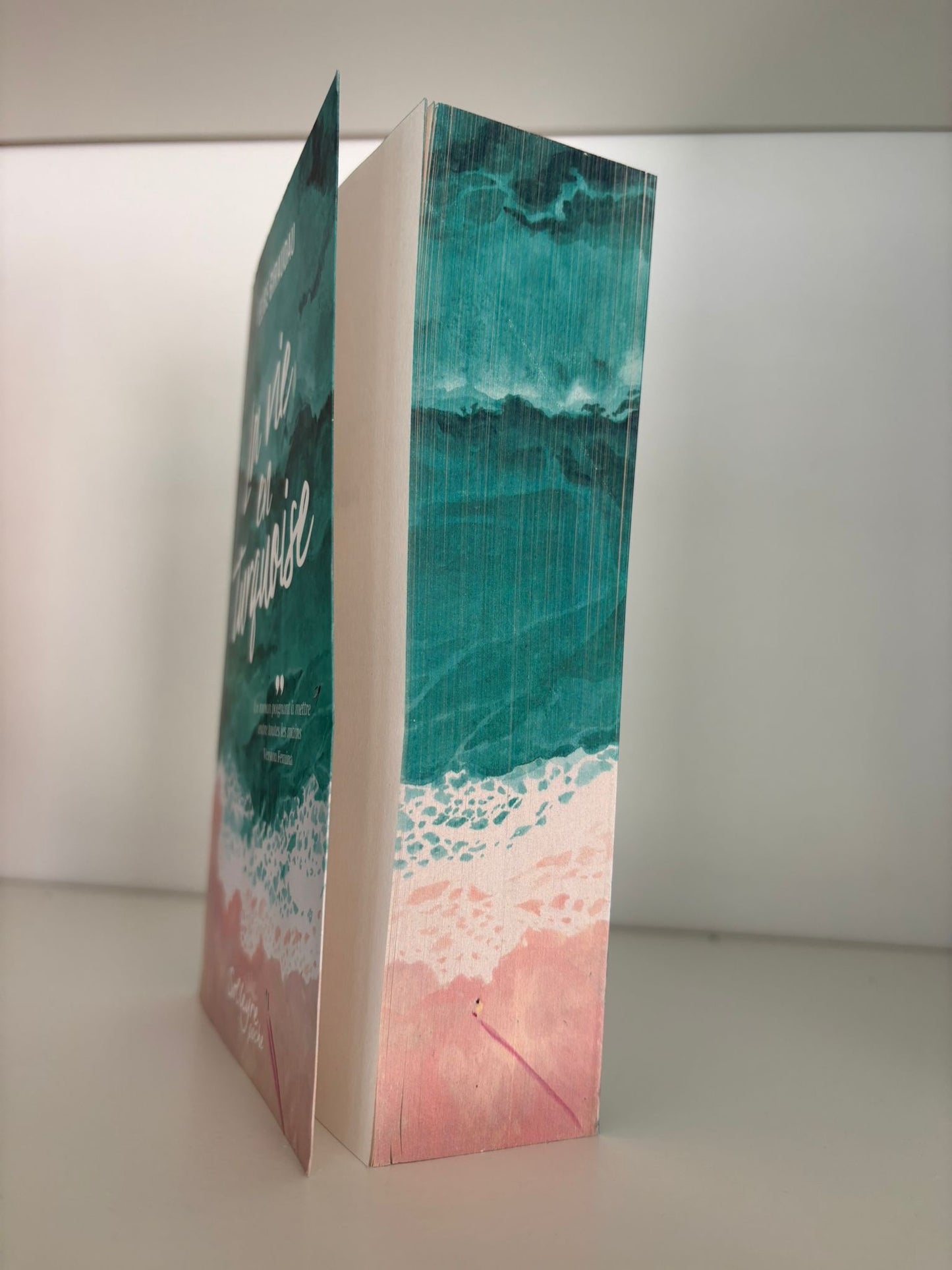 La vie en turquoise - Elise Giraudau (Poche)