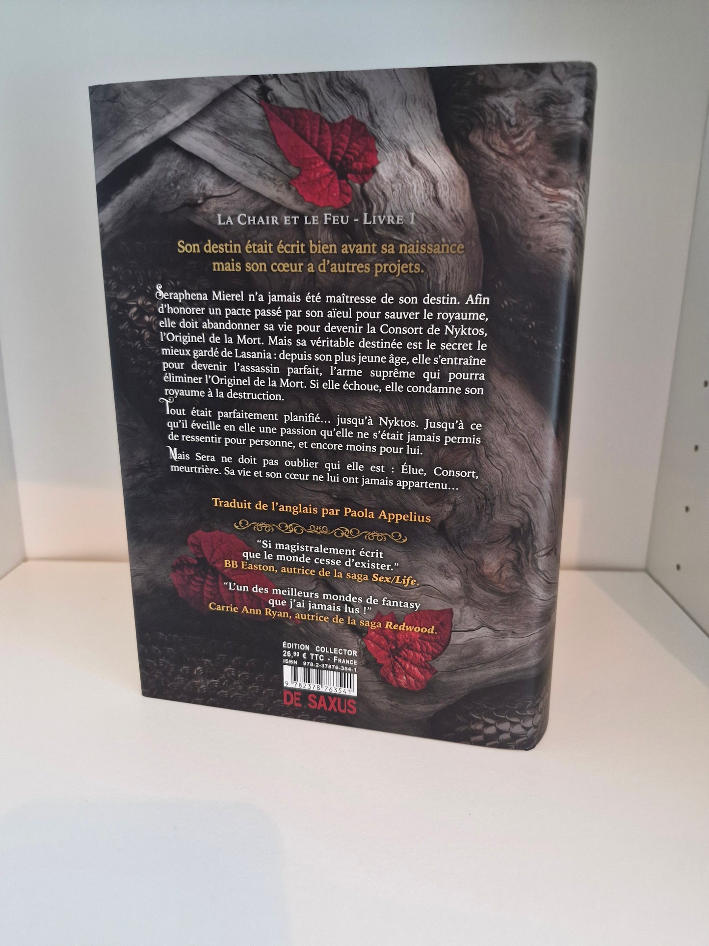 Une ombre dans la braise (1) - Jennifer L. Armentrout (Relié)