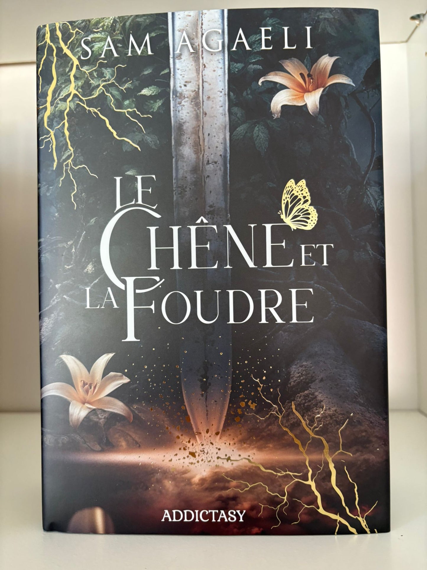 Le chêne et la foudre (1) - Sam Agaeli (Relié)