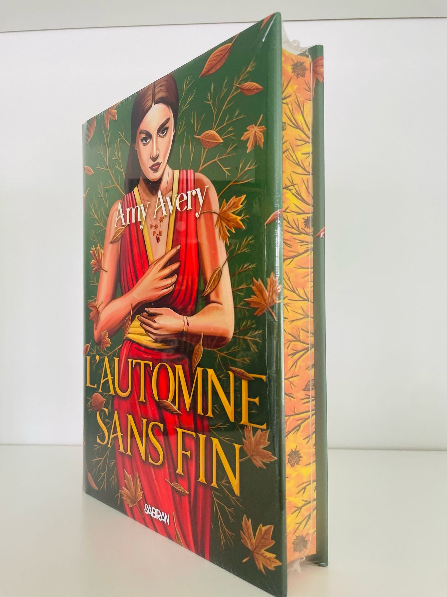 Box format relié (Korrigan à Roncière)