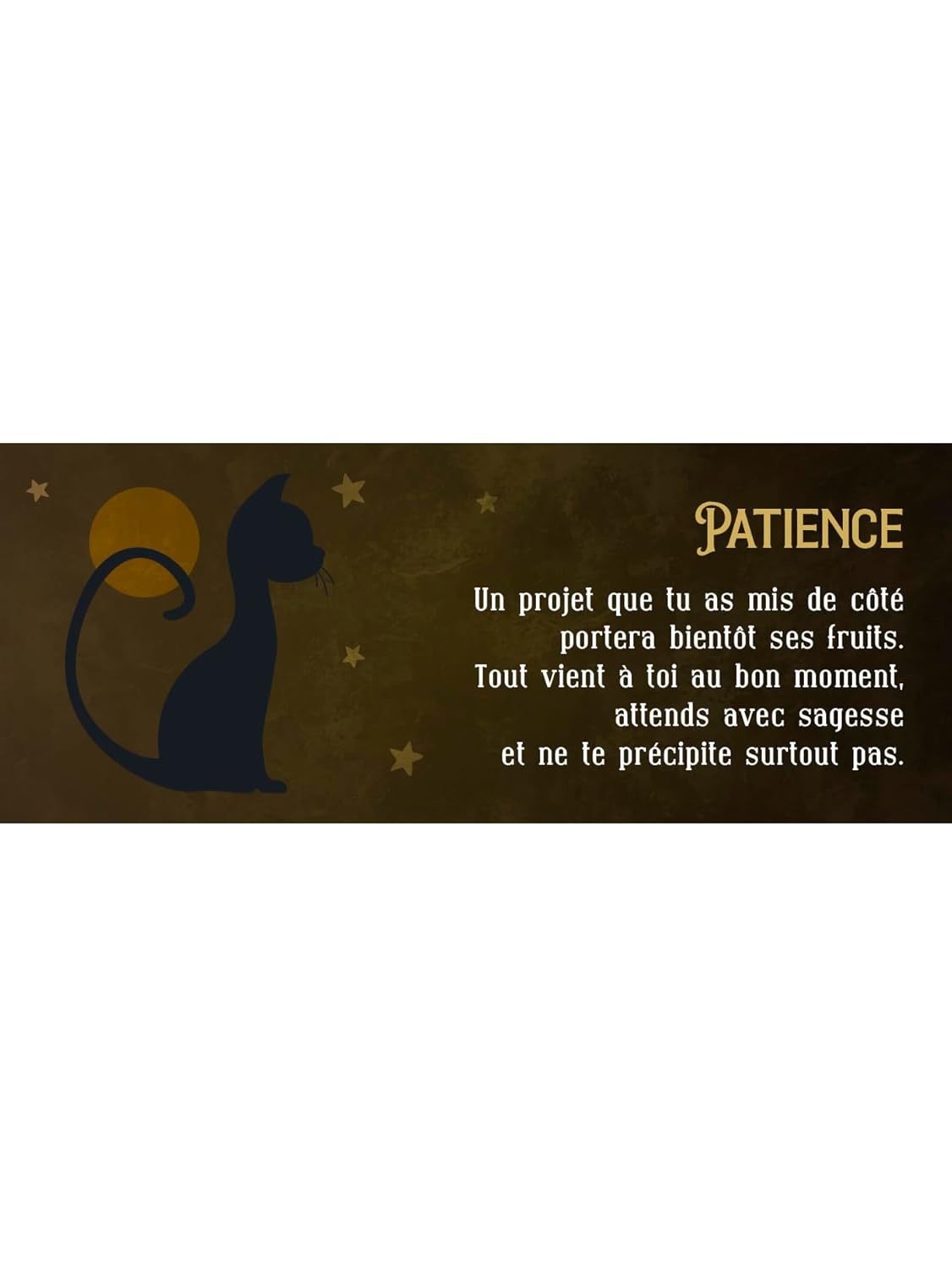 Le petit oracle du chat noir - Amélie Fiol-4