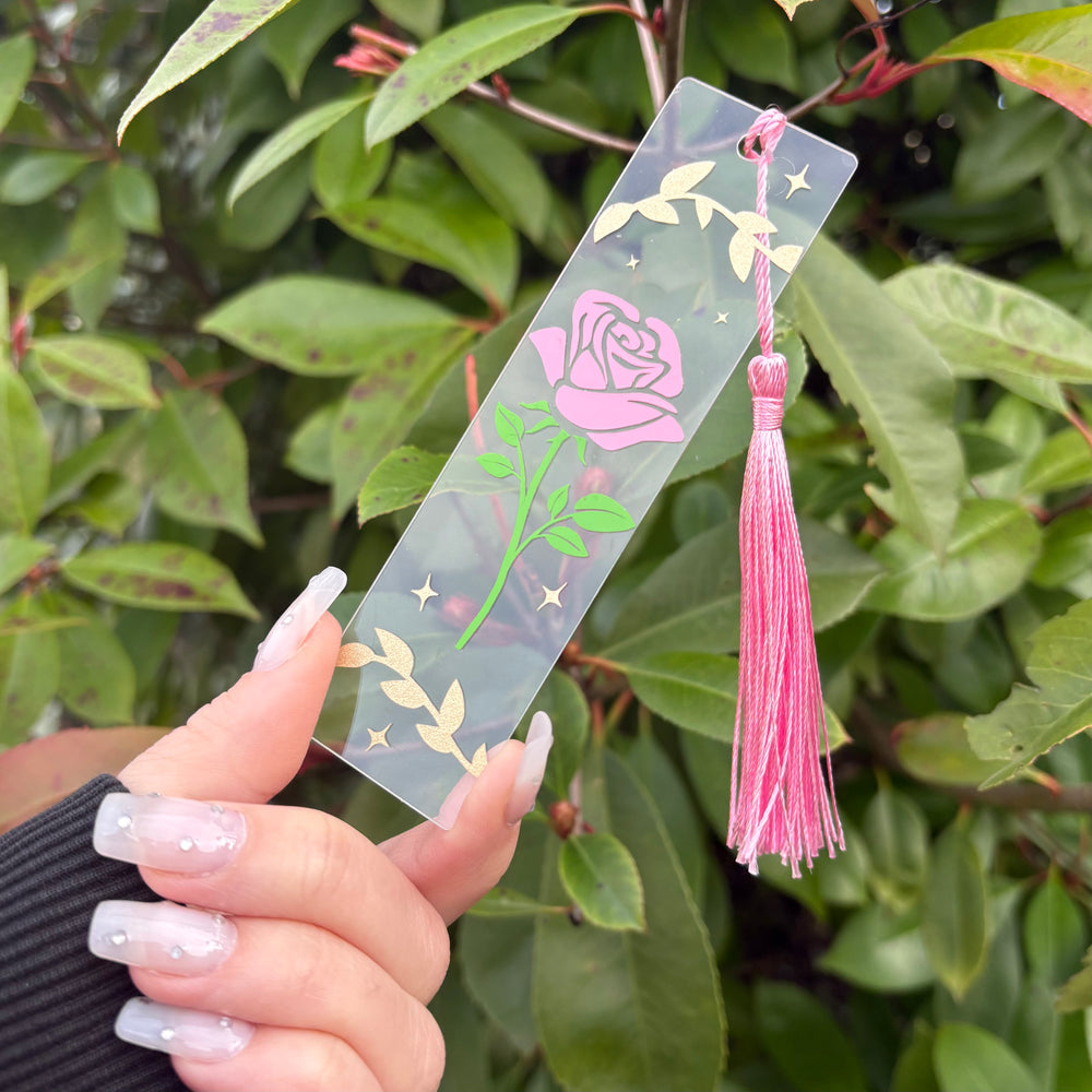 La rose du printemps