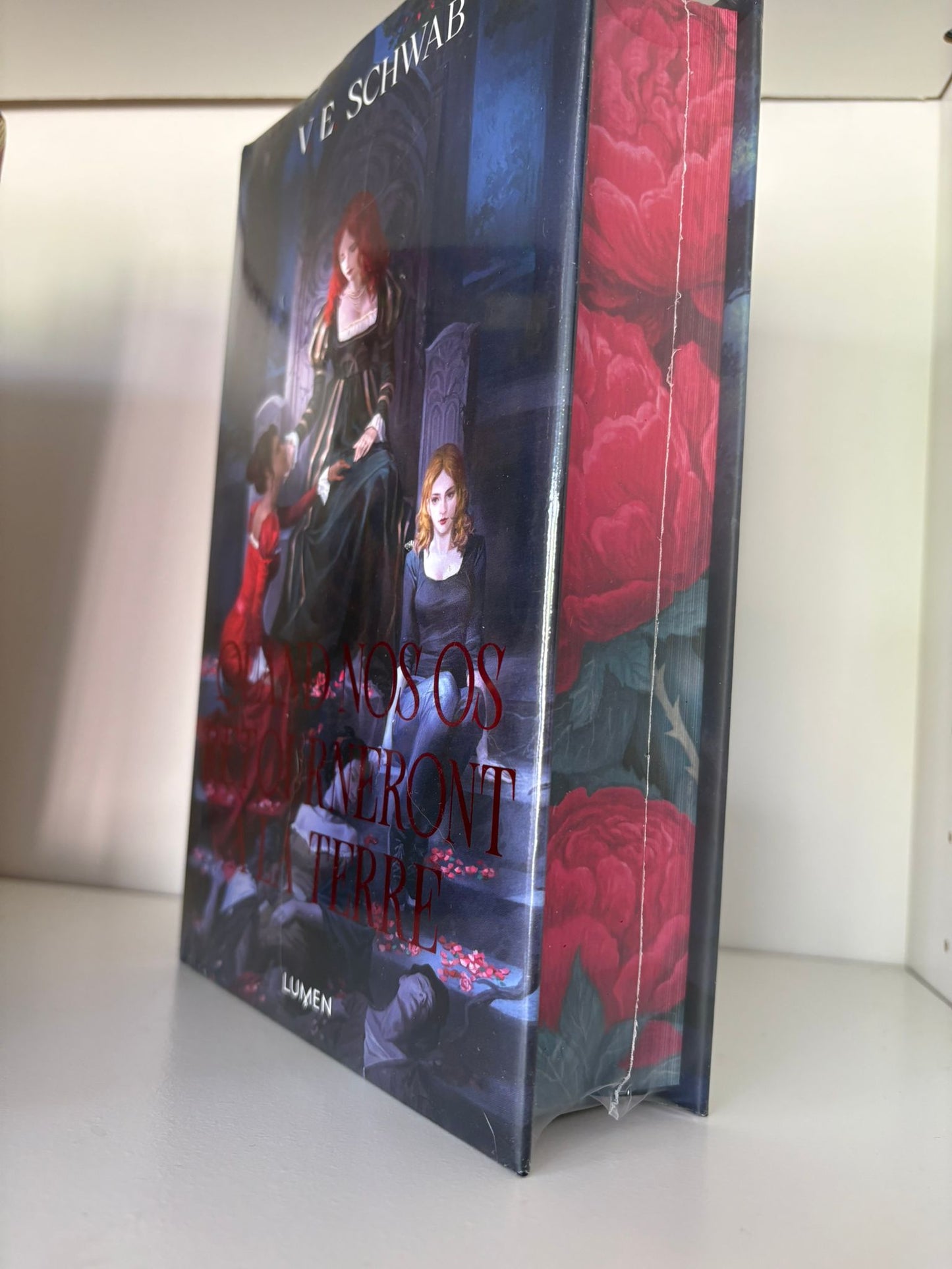 Quand nos os retourneront à la terre - V.E. Schwab (Relié)