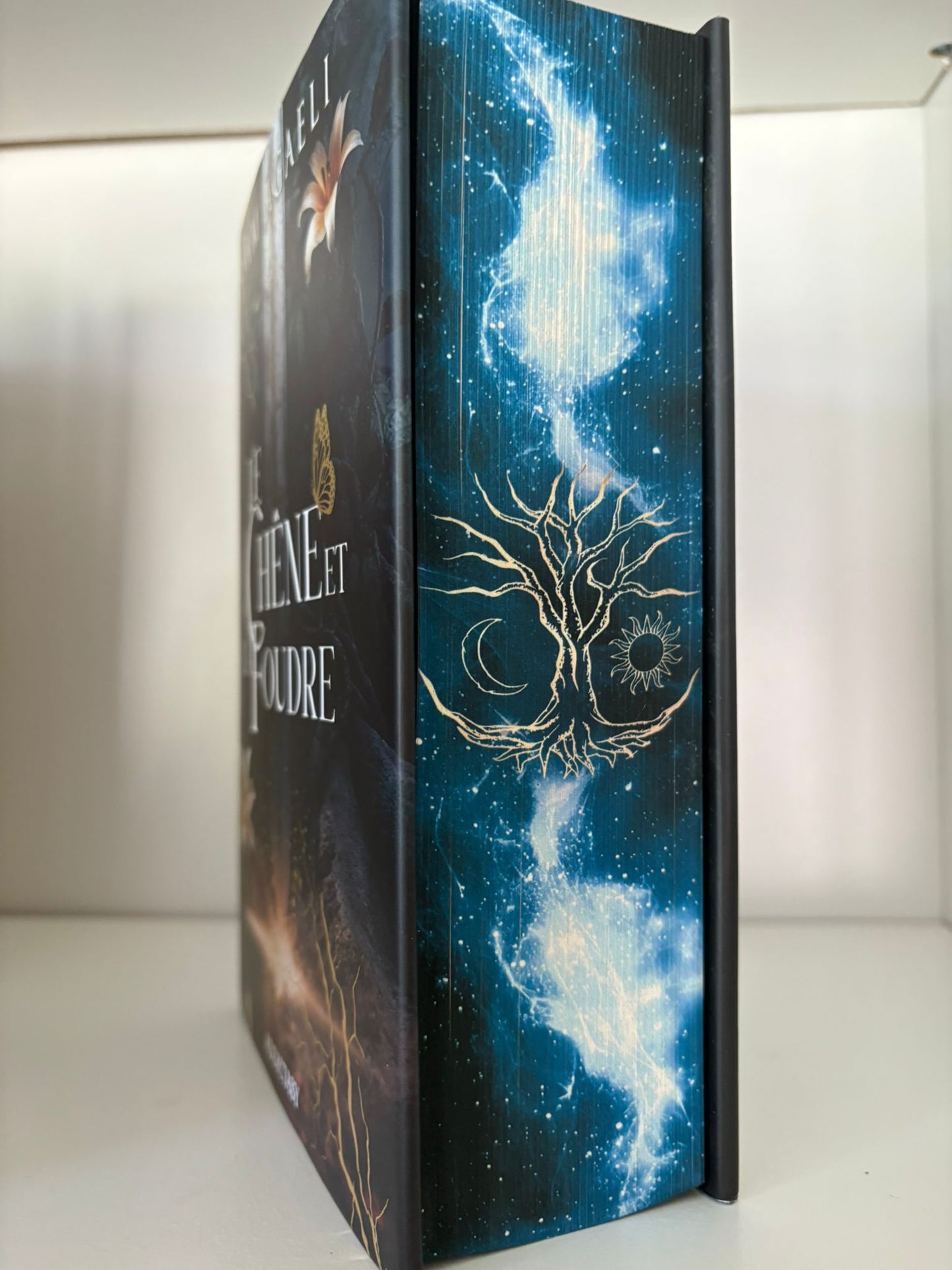 Le chêne et la foudre (1) - Sam Agaeli (Relié)