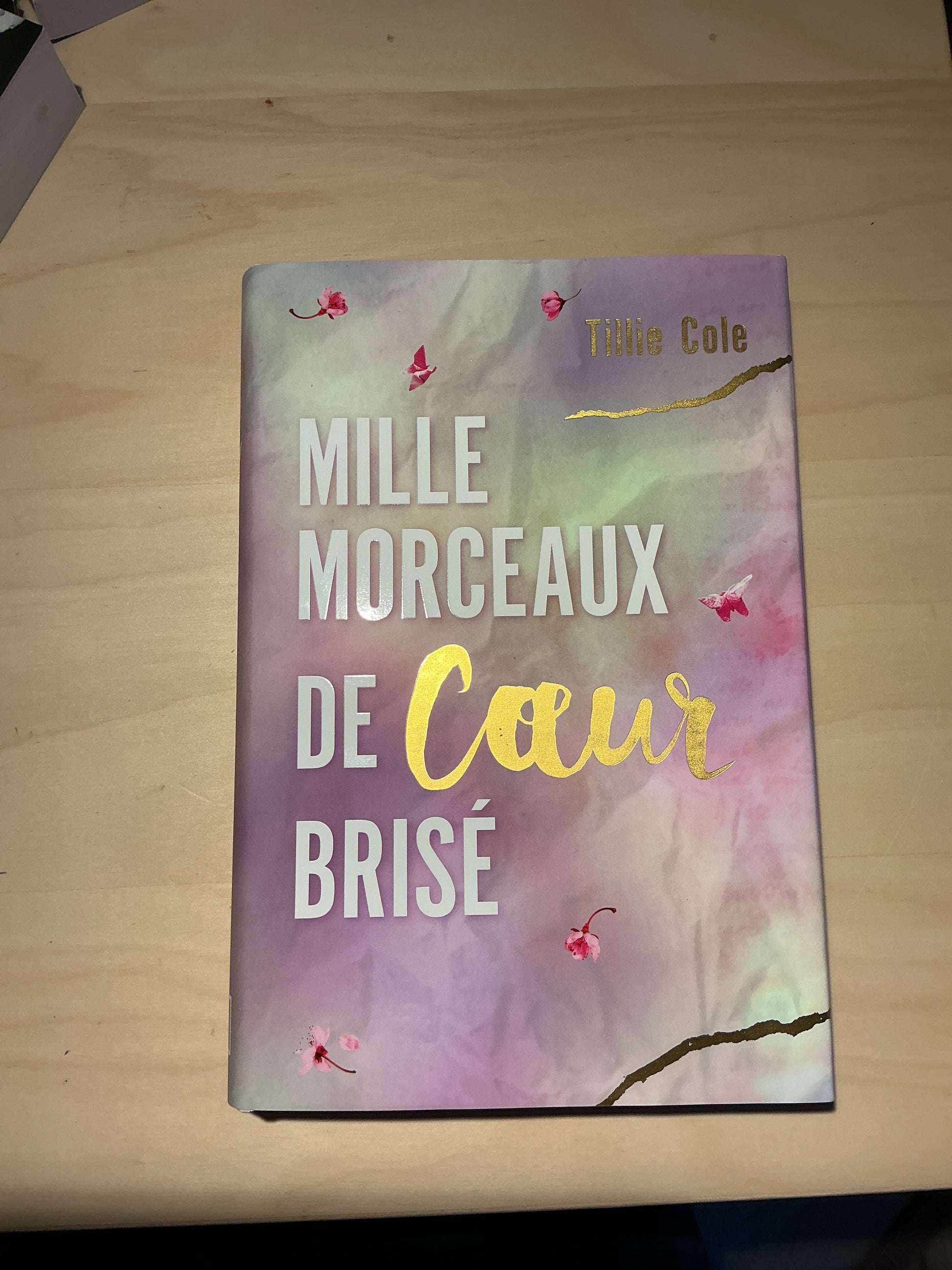 Mille morceaux de coeur brisés (2) - Tillie Cole (Relié)-1