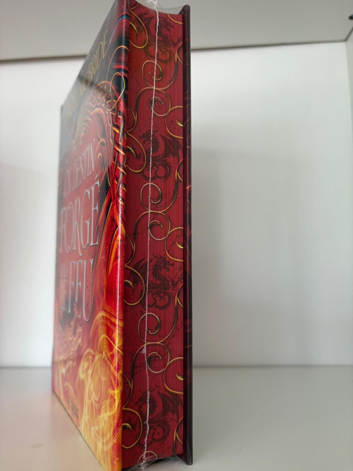 Un Destin forgé dans le feu (1) - Hazel Mcbride (Relié)