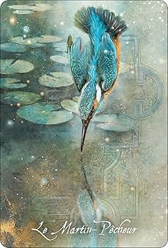 L'oracle des oiseaux messagers - Sara et Magali Mottet-zoom-