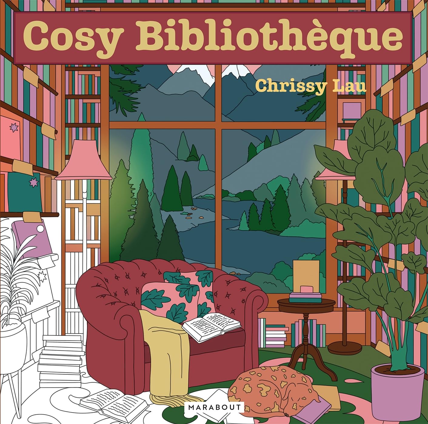 Cosy Bibliothèque-1