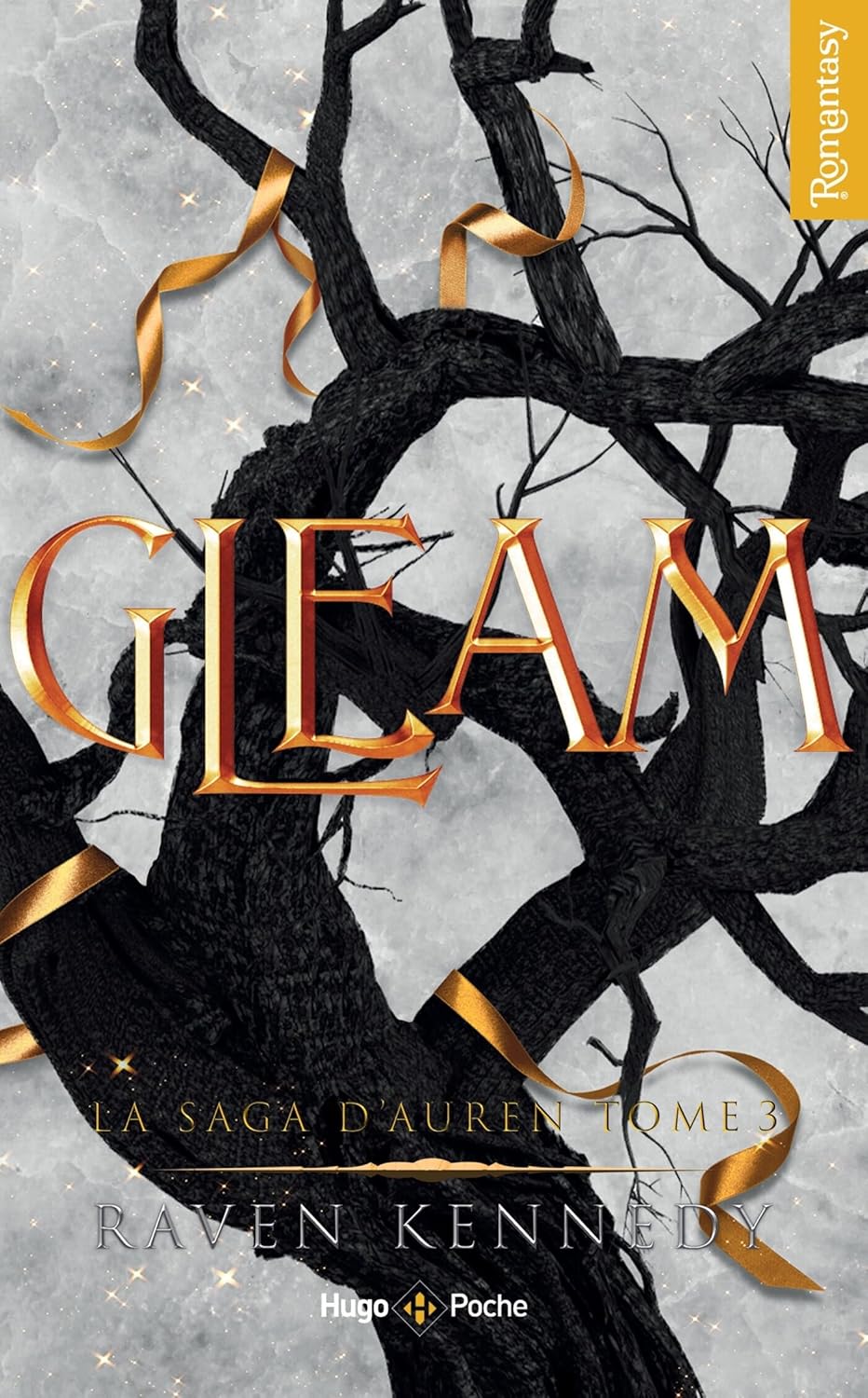Gleam (3) - Raven Kennedy (Poche)