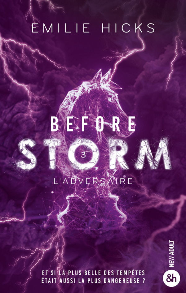 Before storm (3) - Emilie Hicks (Broché)