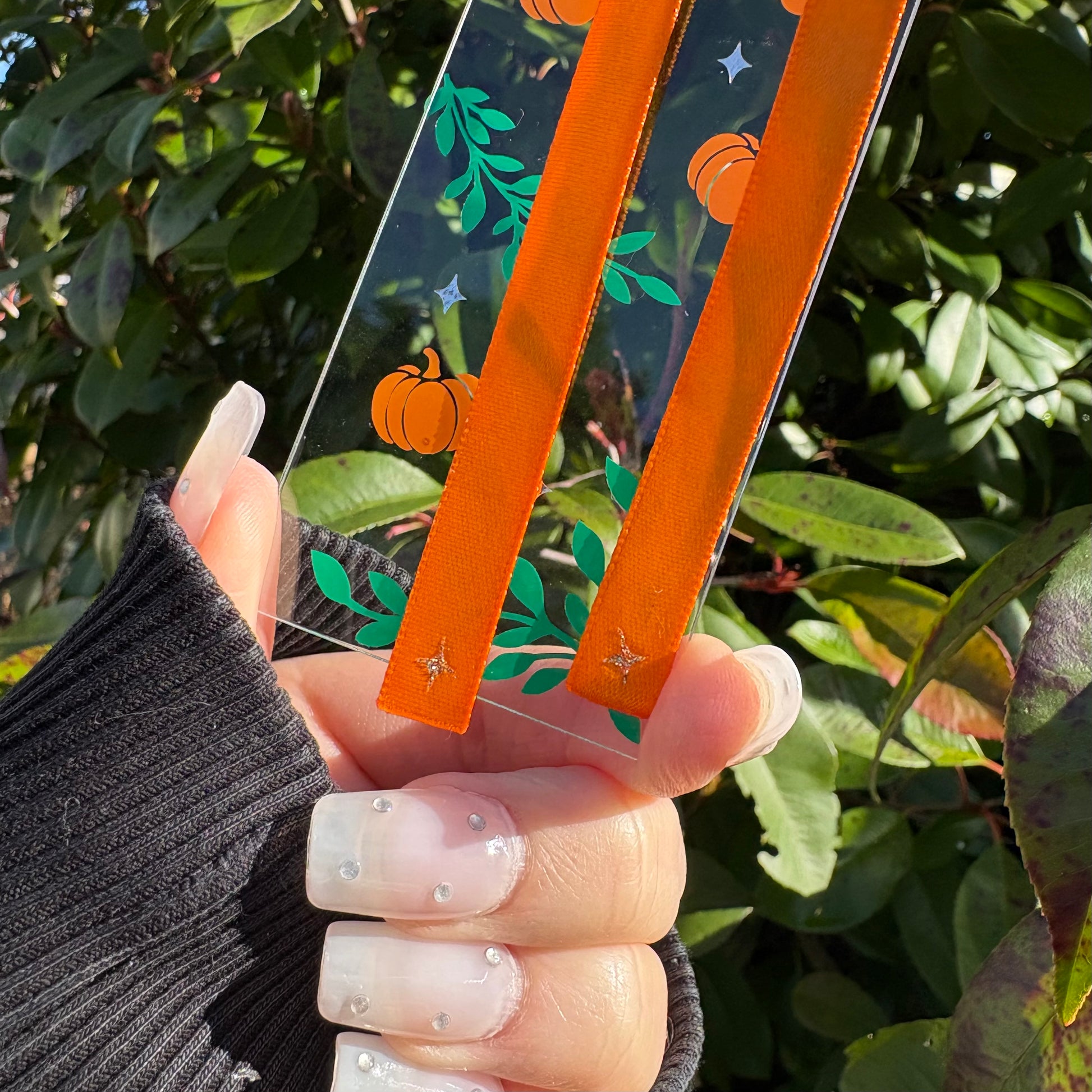 Le citrouilles étoilées-2