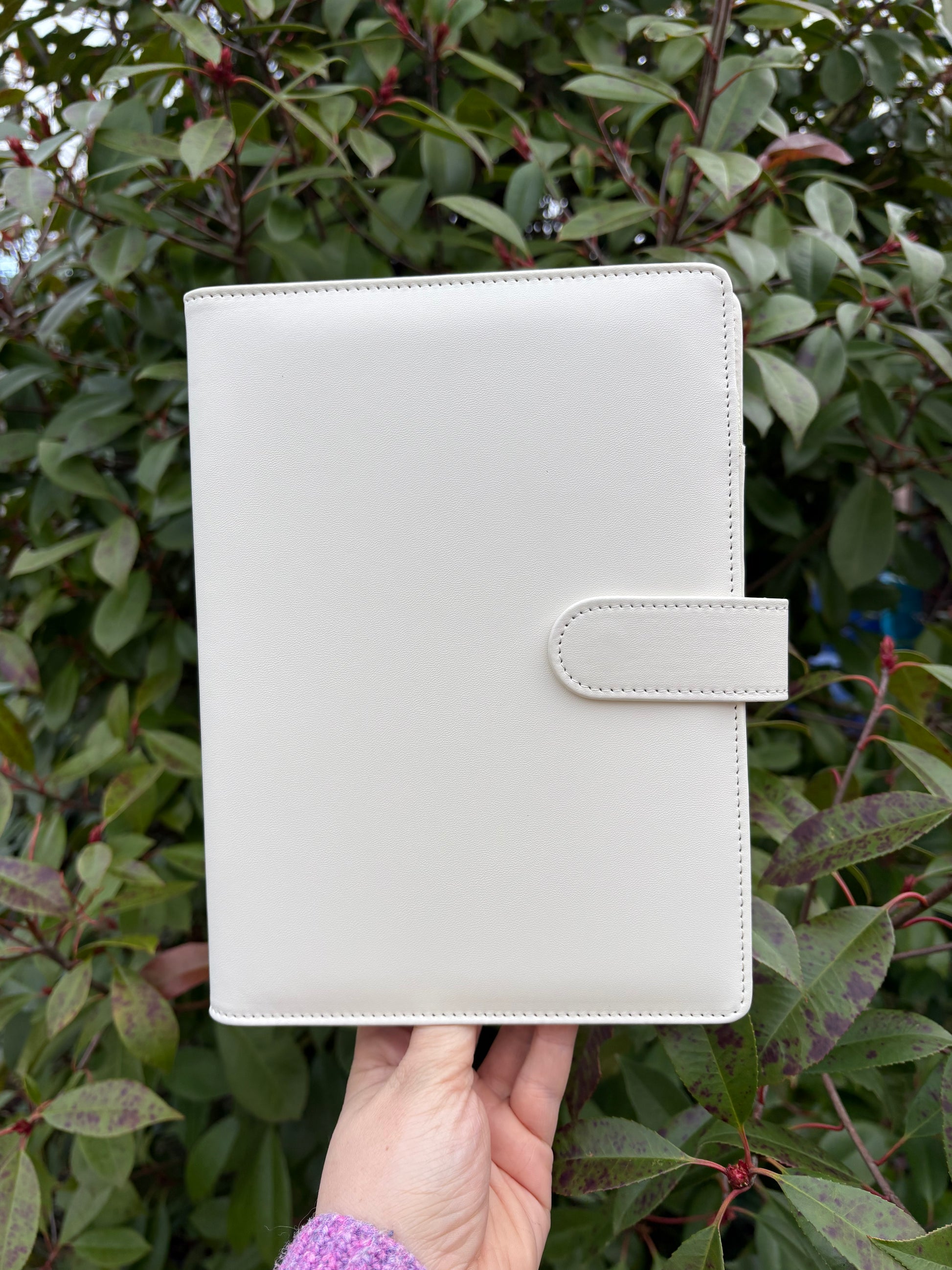 Carnet de lecture Vierge - Divers Coloris (Précommande)-7