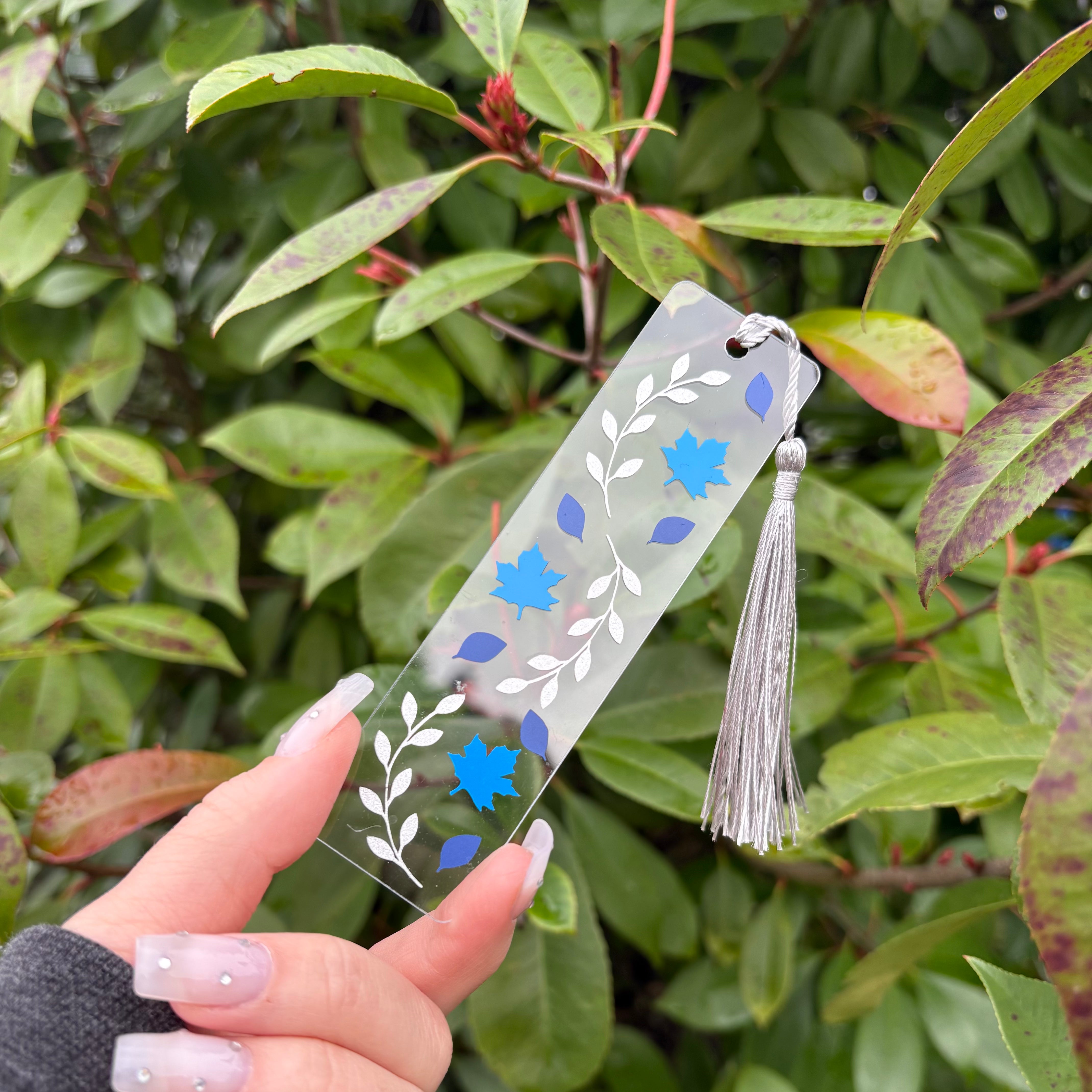 Les feuilles givrées