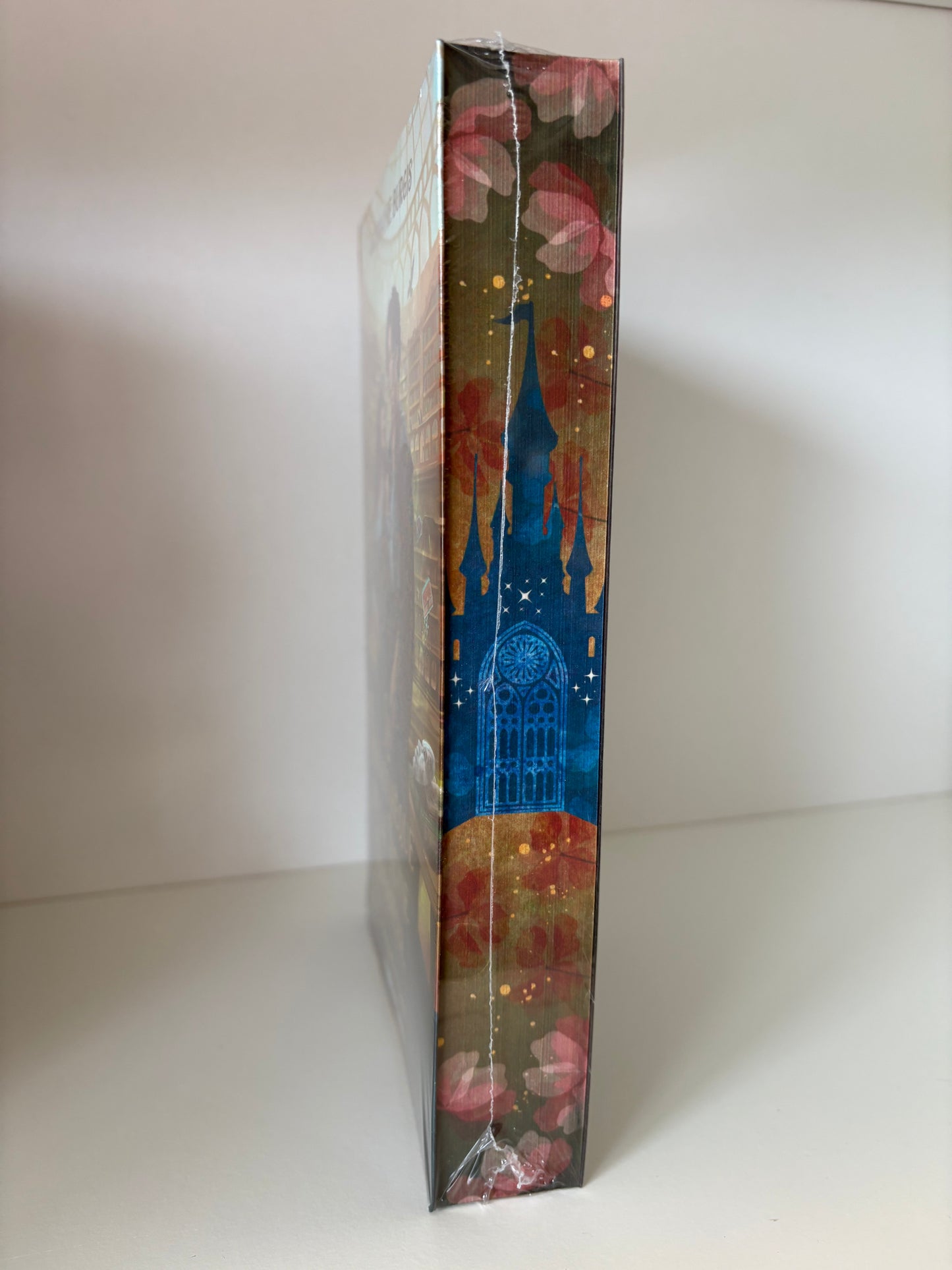 La bibliothèque de la Reine Sorcière (1) - Stephanie Burgis (Broché)