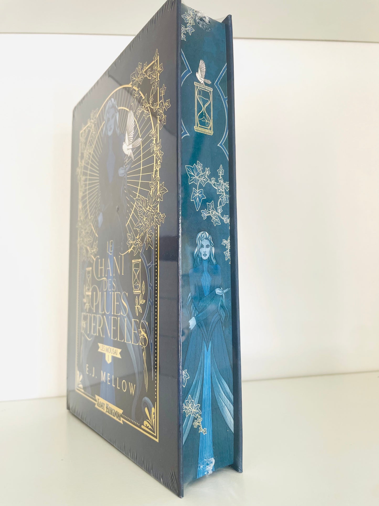 Box format relié (Addictives à Hugo Roman)