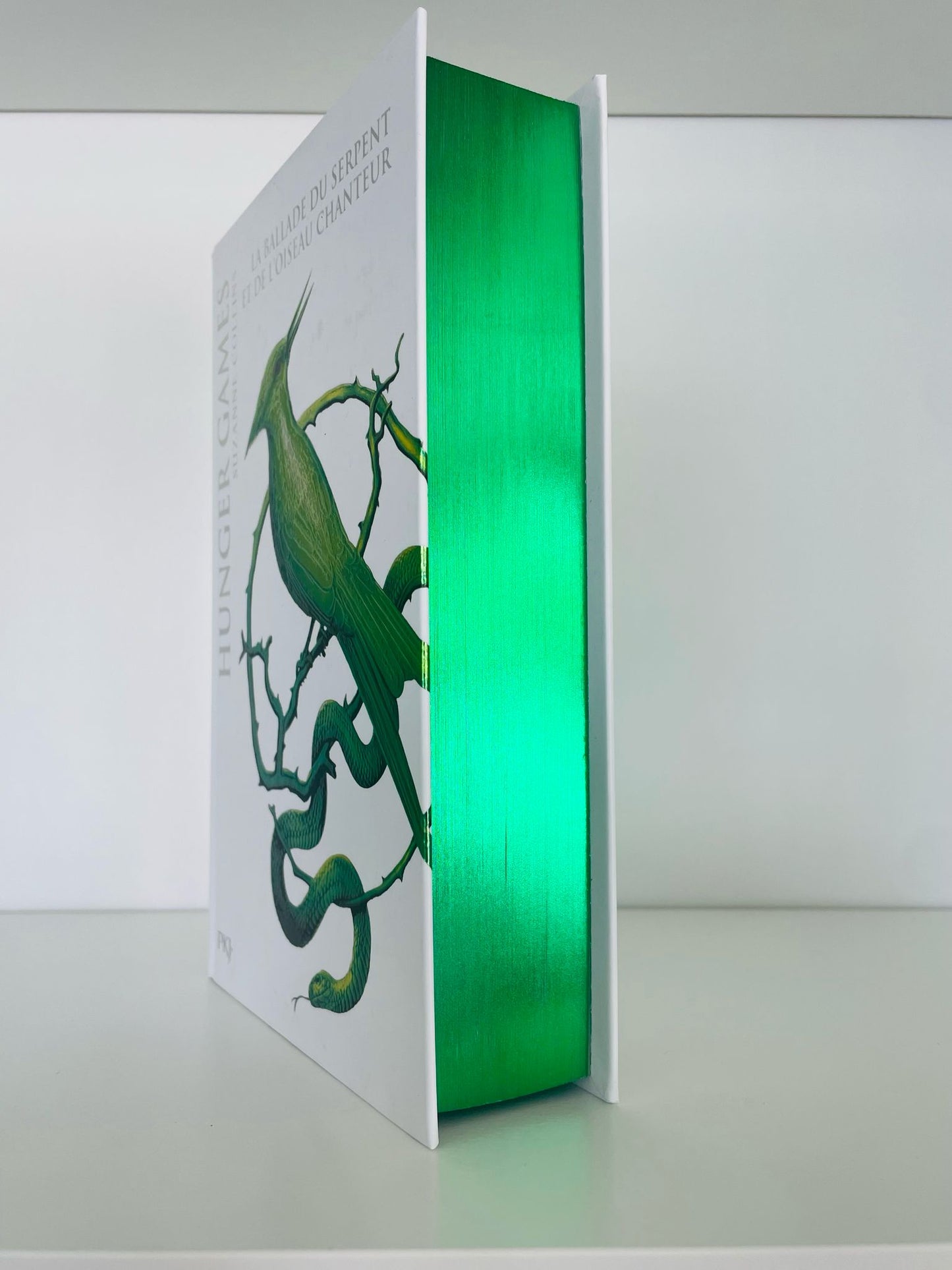Box format relié (Korrigan à Roncière)