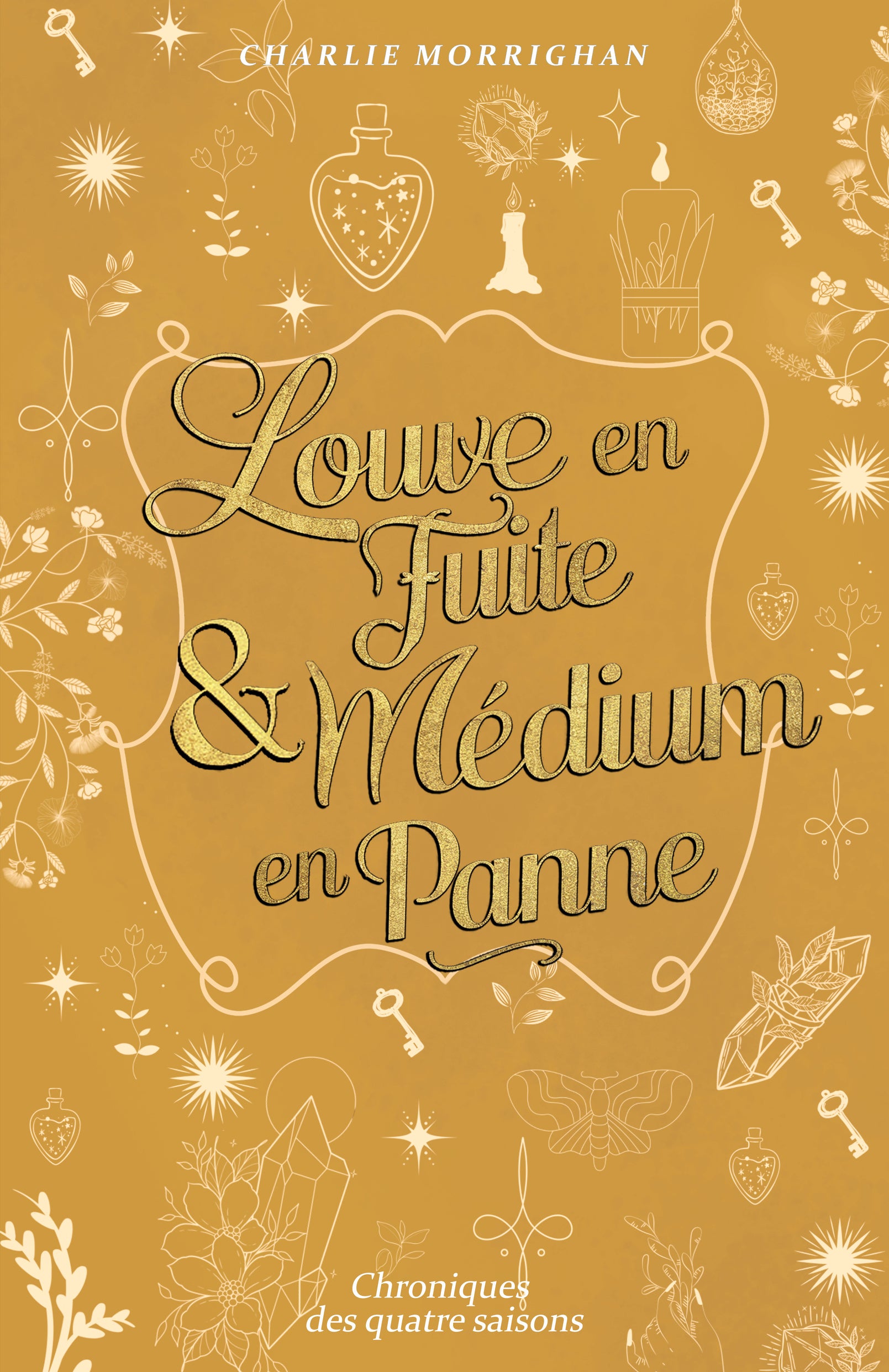 Louve en fuite & Médium en panne (3) - Charlie Morrighan (Broché)-1