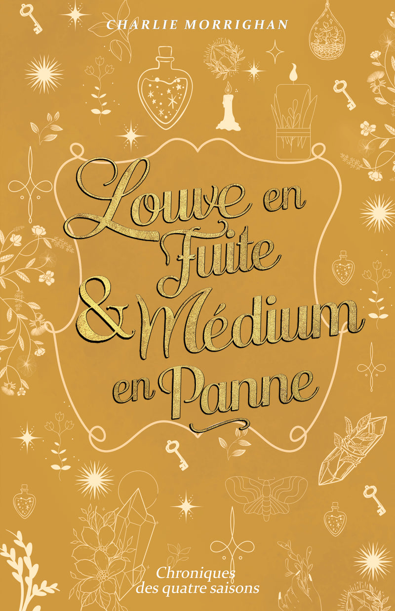 Louve en fuite & Médium en panne (3) - Charlie Morrighan (Broché)-zoom-