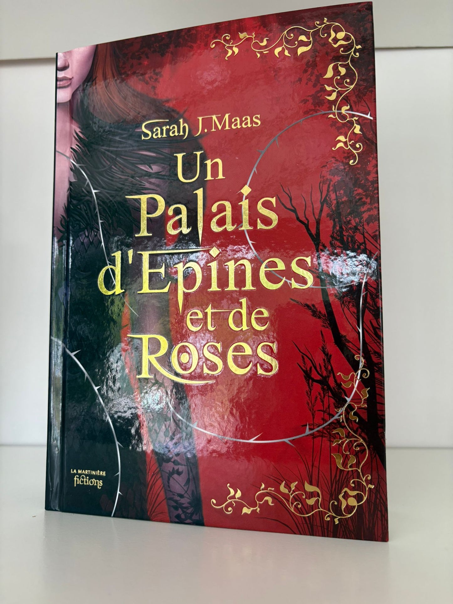 Un palais d'épines et de roses (1) - Sarah J. Maas (Relié)