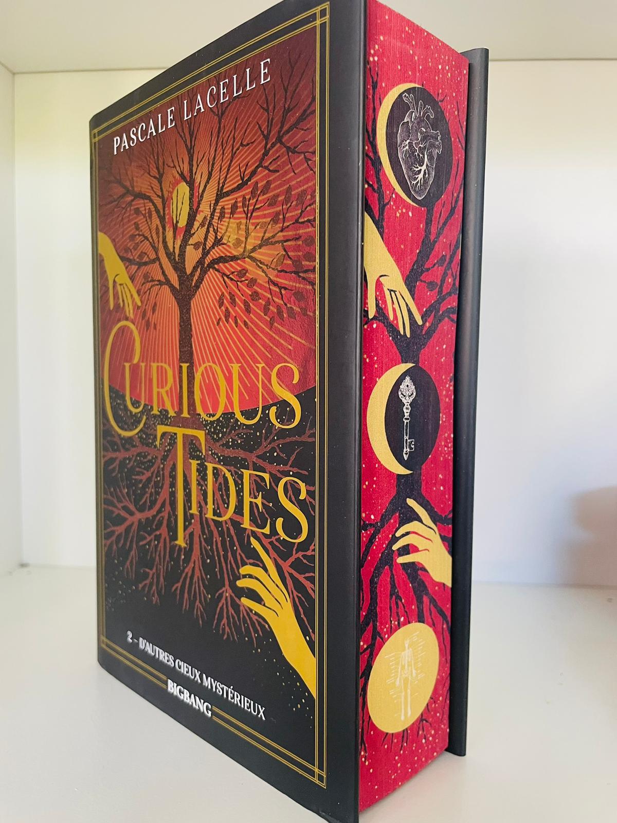 Box format relié (Addictives à Hugo Roman)