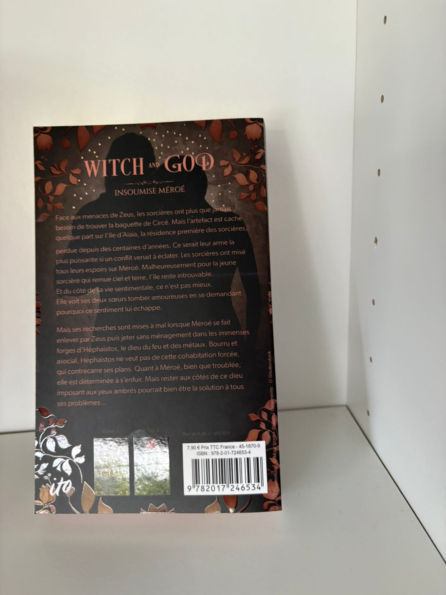 Witch and God (3) - Liv Stone (Poche)