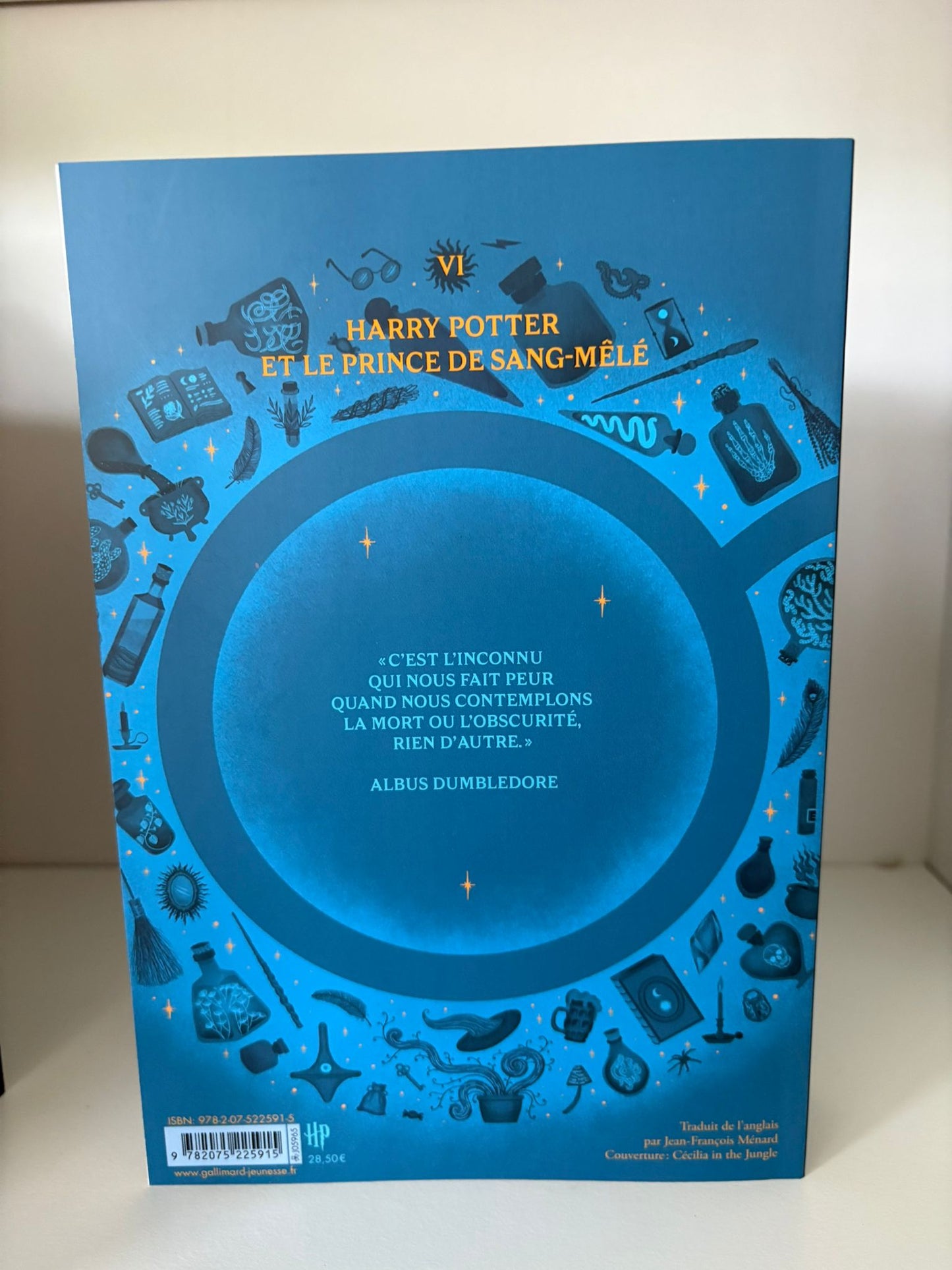 Harry Potter et le prince de sang mélé (6) - J.K. Rowling
