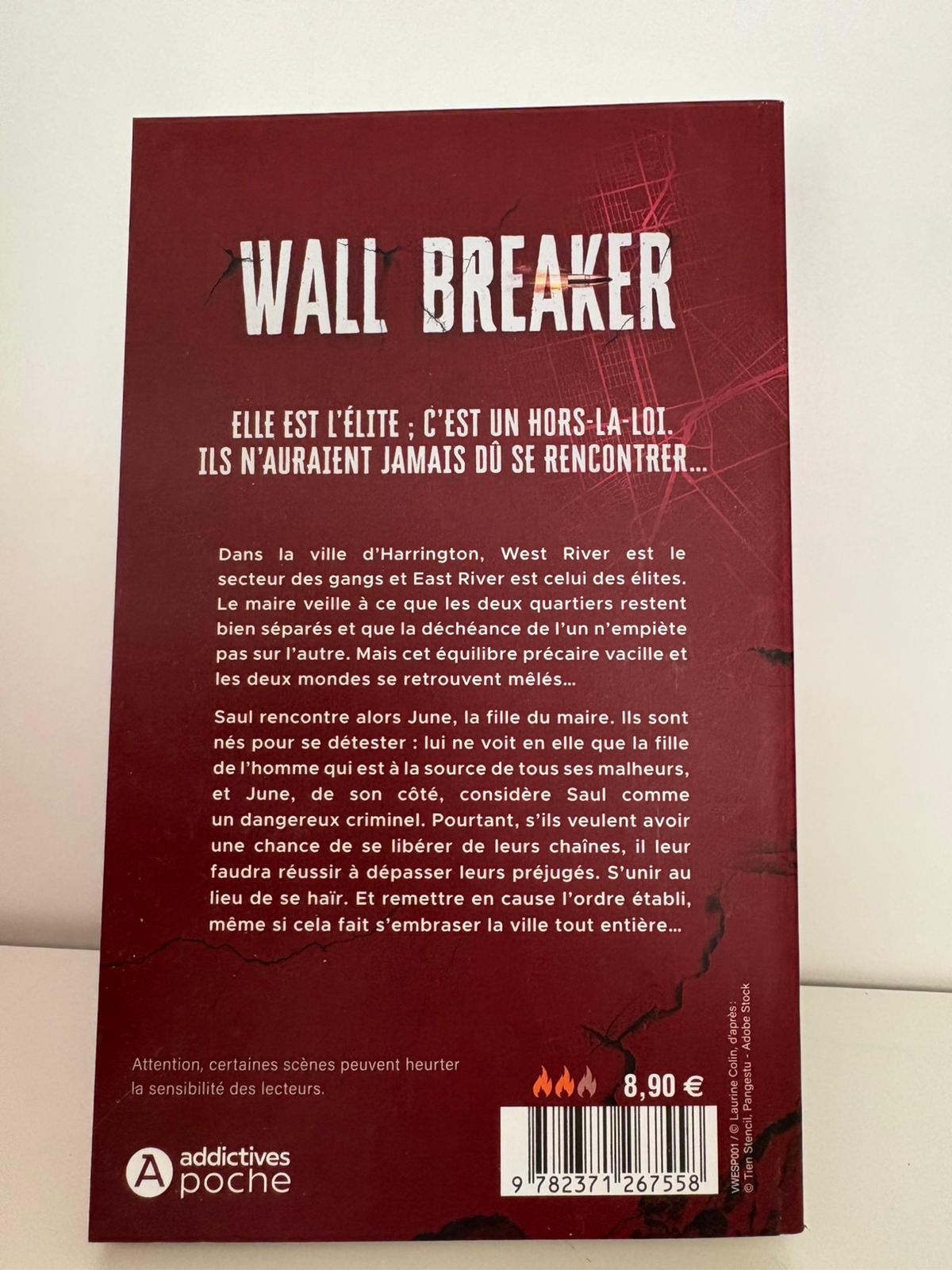 Wall Breaker (1) - Solenn Sakly (Poche)