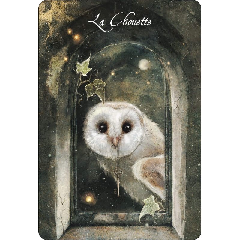 L'oracle des oiseaux messagers - Sara et Magali Mottet-3