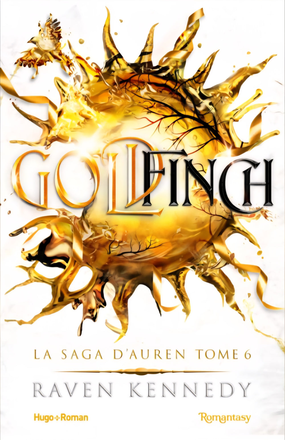 Goldfinch (6) - Raven Kennedy (Broché)