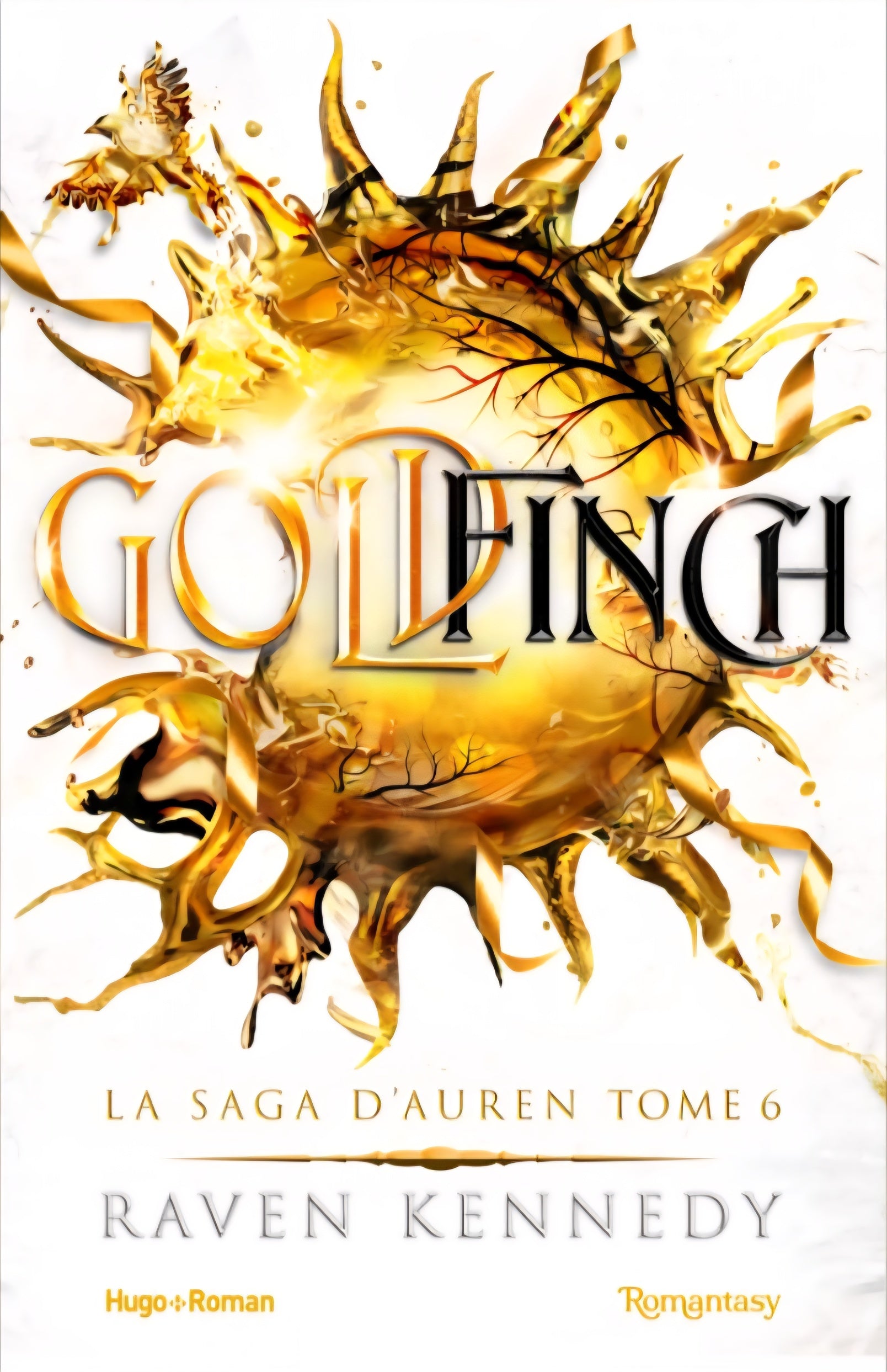 Goldfinch (6) - Raven Kennedy (Broché)-zoom-1