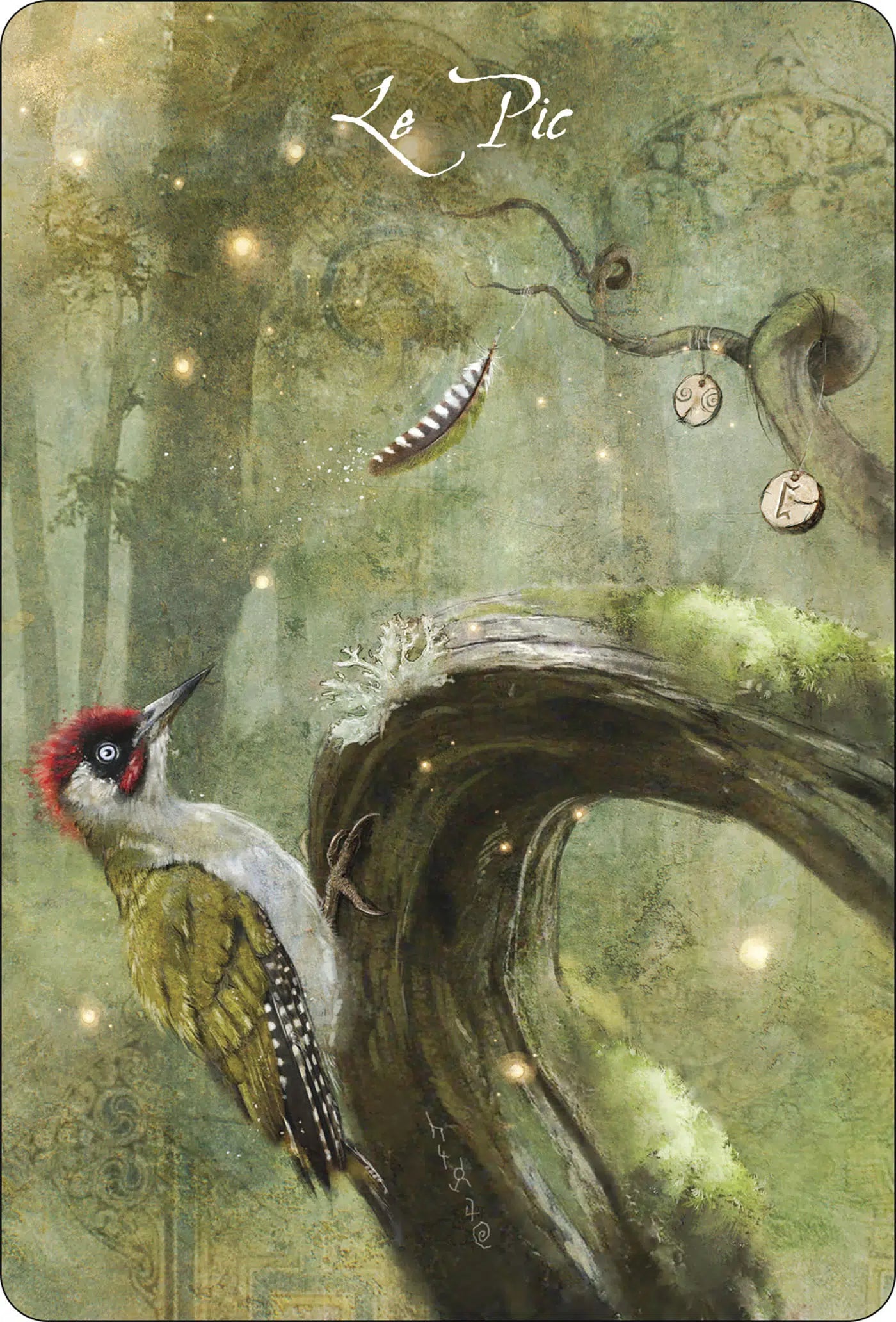 L'oracle des oiseaux messagers - Sara et Magali Mottet-zoom-4