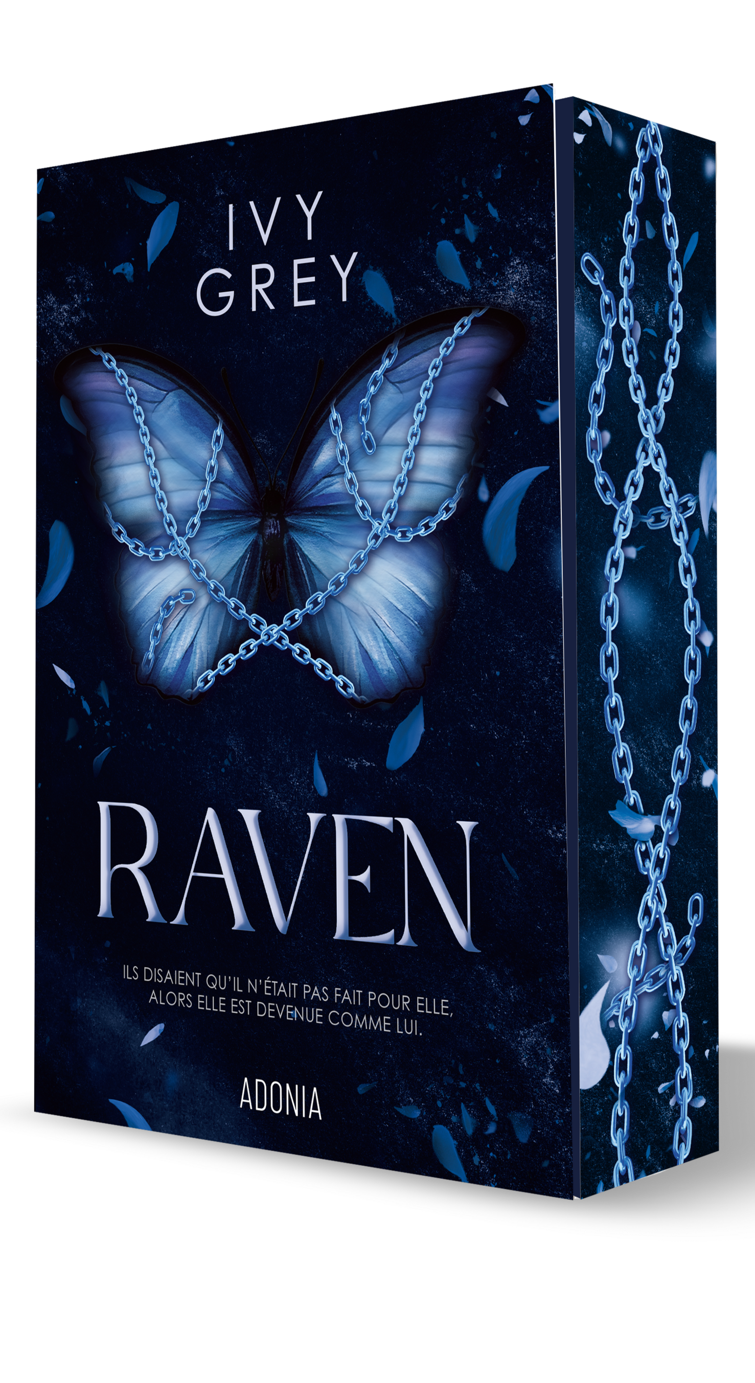Raven - Ivy Grey (Broché)-1